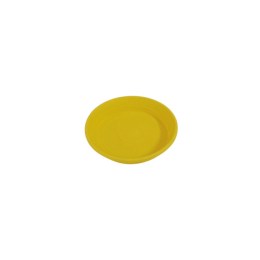 310_plate_yellow